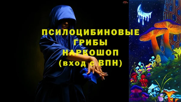 не бодяженный Алексин